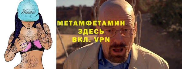 прущие грибы Гусев