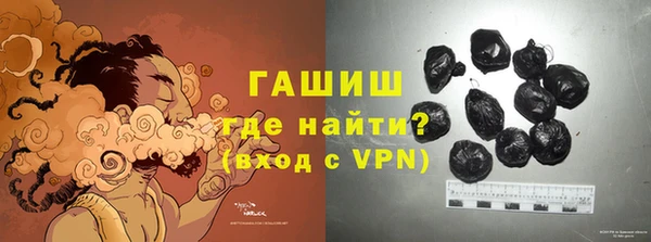прущие грибы Гусев