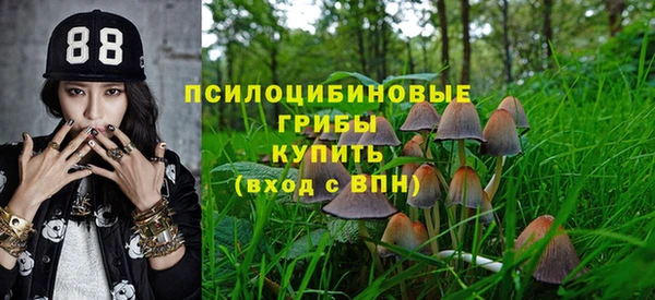 не бодяженный Медвежьегорск