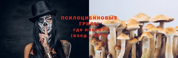 ГАЛЛЮЦИНОГЕННЫЕ ГРИБЫ Гусь-Хрустальный