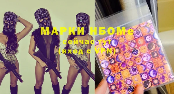 прущие грибы Гусев