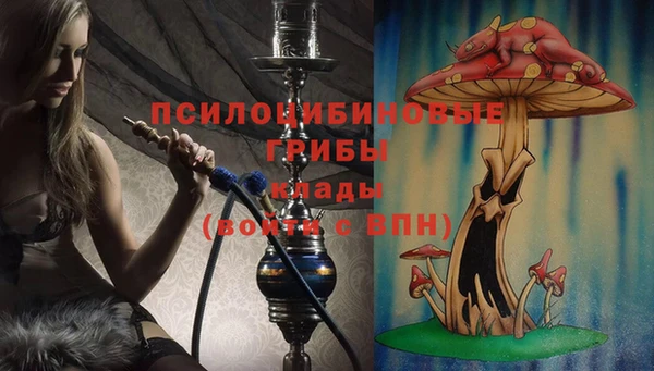 а пвп мука Мегион