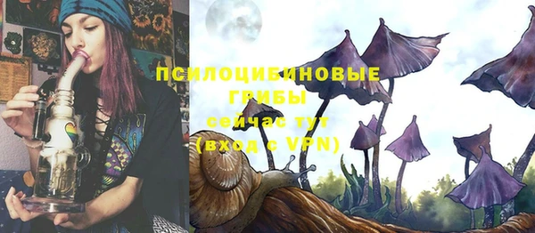 а пвп мука Мегион