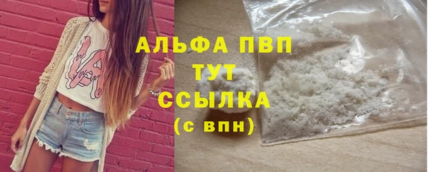 стафф Медногорск