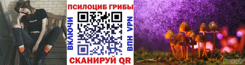 Псилоцибиновые грибы GOLDEN TEACHER  Усмань 